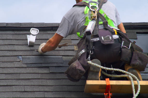 Best Roof Restoration Services  in Percy, IL