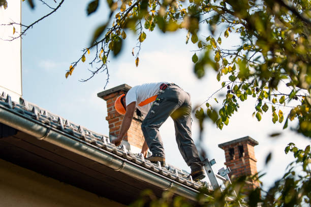 Gutter Installation and Roofing in Percy, IL