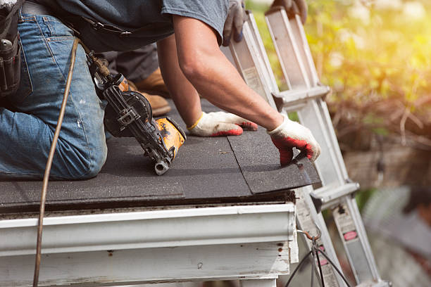 Best Roof Gutter Cleaning  in Percy, IL