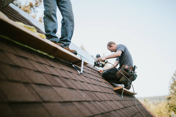 Trusted Percy, IL Roofing Contractor Experts